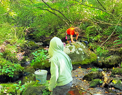 Forest Fridays - Find Us Outside Nature Immersion Programs - findusoutside.org - 203-491-0596